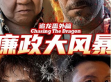 《追龙番外篇之廉政大风暴》黑金风暴牵涉人员从基层到督察重要官员无一幸免2025.1.30中国大陆