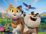 《猫小姐莫西》一只娇生惯养的猫咪与一只烦人的狗和一只年迈的鸟儿结伴穿越南欧2025.6.14荷兰